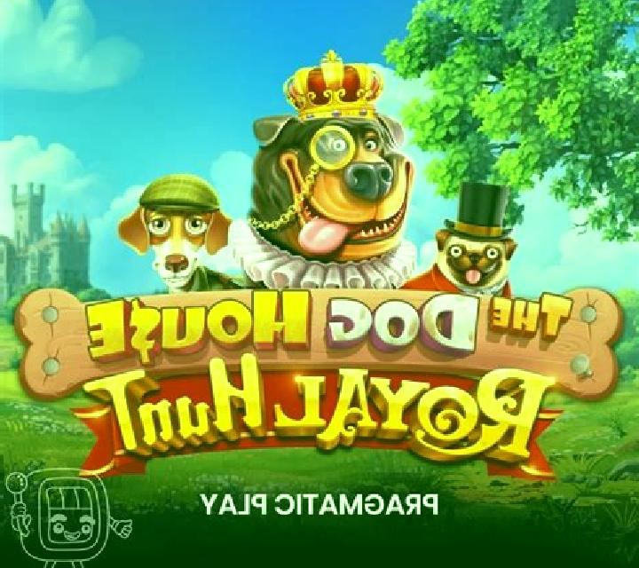 Thief Dog Buy Feature slot game