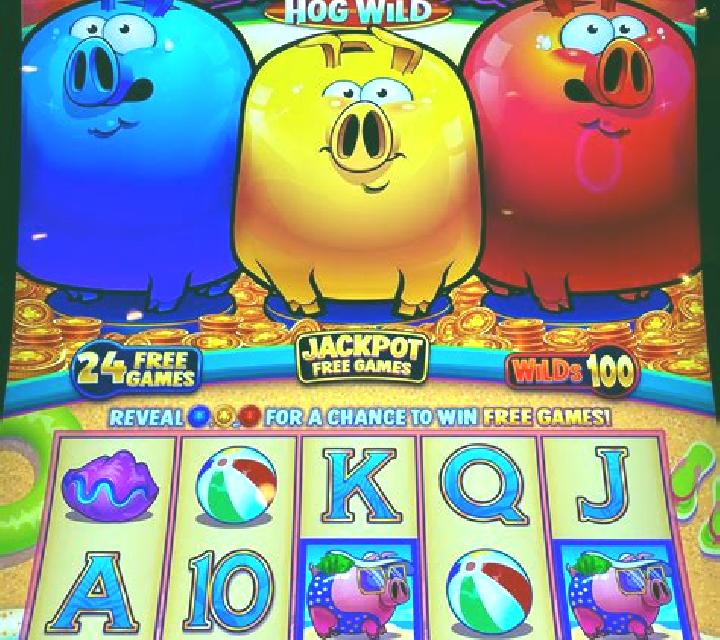 Three Crazy Piggies slot game
