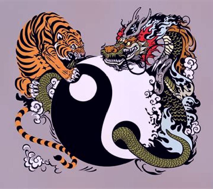 Tiger and Dragon Wild online slot