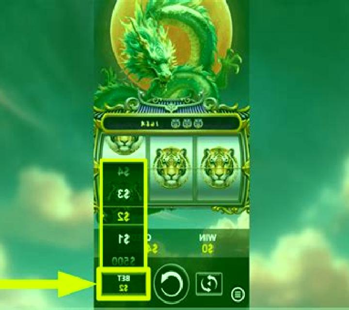 Tiger and Dragon Wild slot