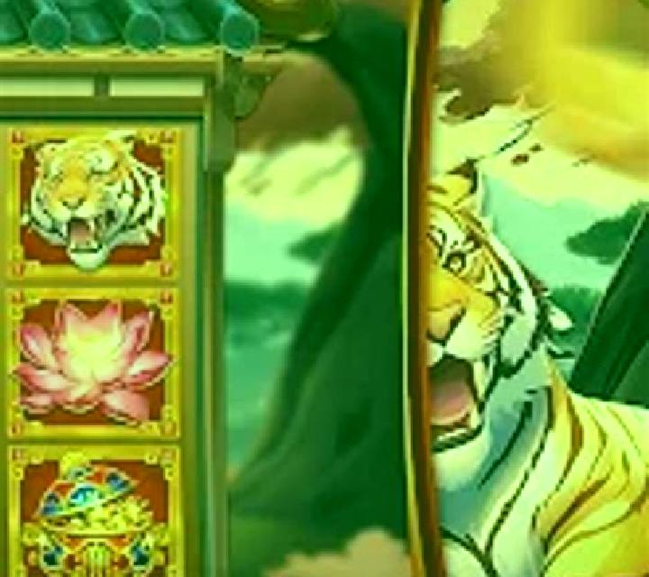 Tiger Dance slot game