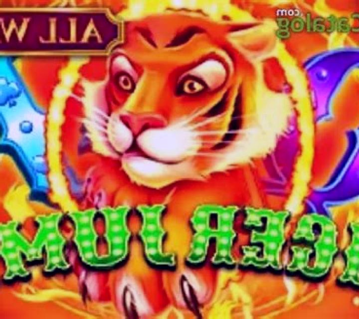 Tiger Jump slot