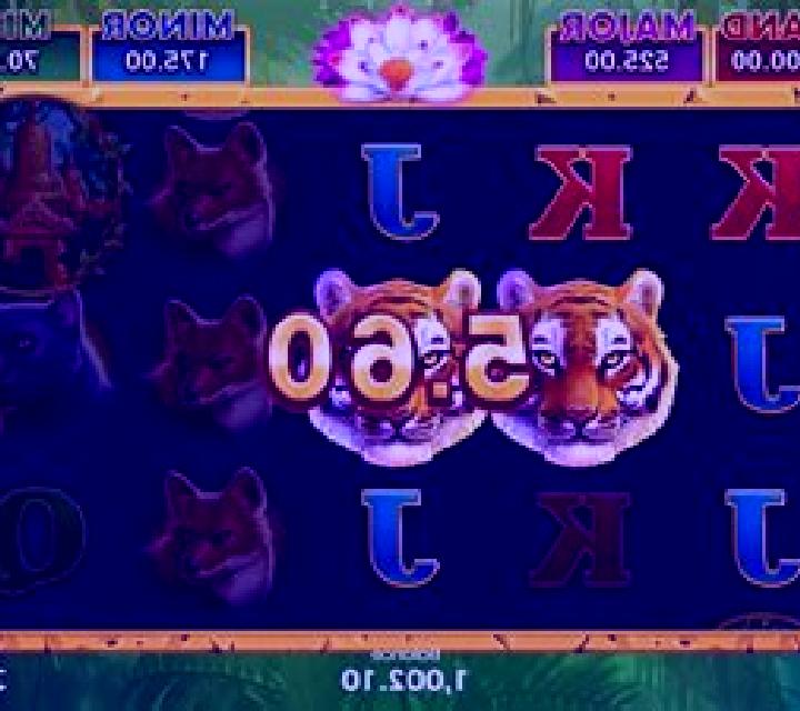 Tiger Jungle Hold and Win slot game