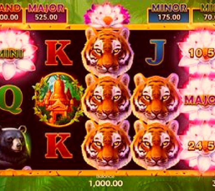 Tiger Jungle Hold and Win slot