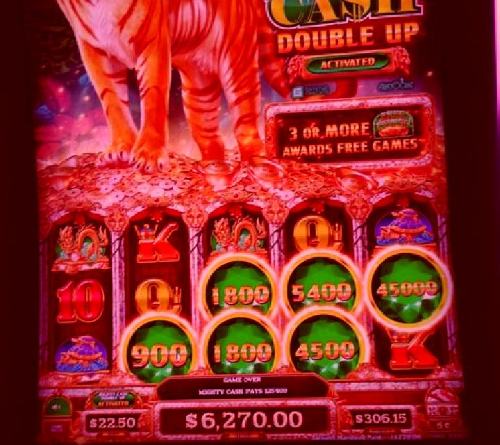 Tiger on Gold online slot