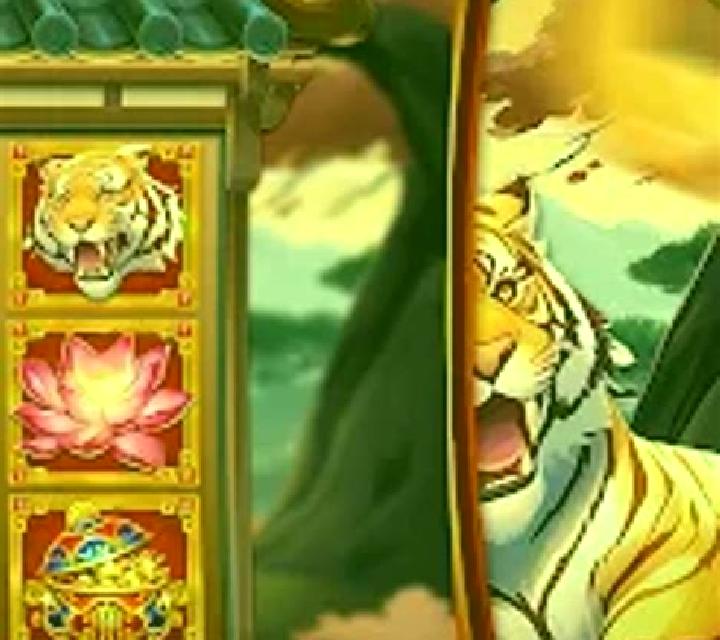 Tiger on Gold slot game