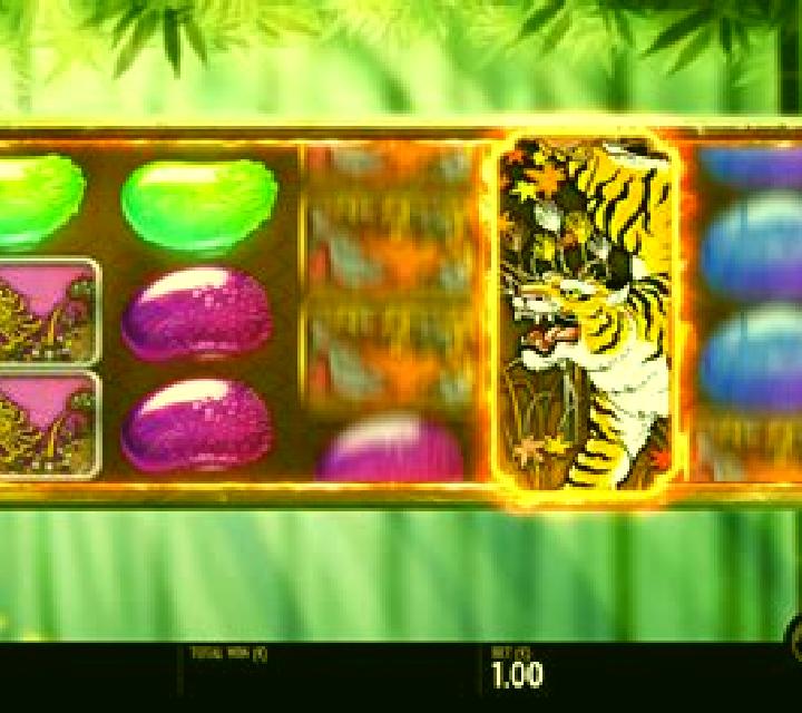 Tiger Rush slot