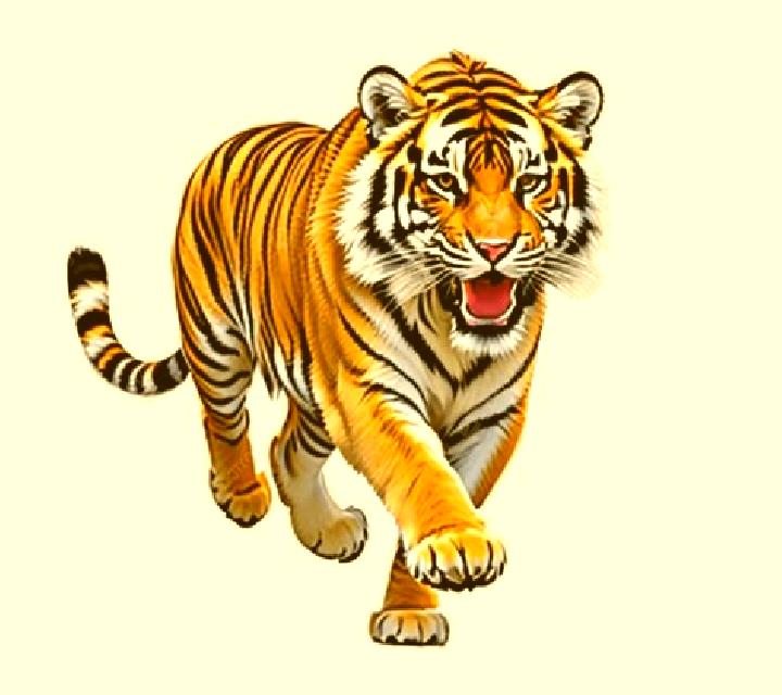 Tiger Speed online slot