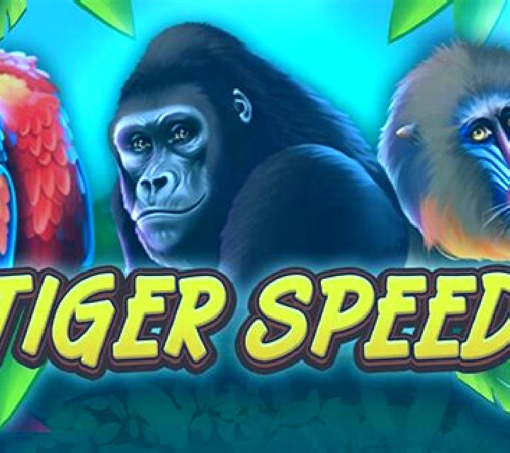Tiger Speed slot game