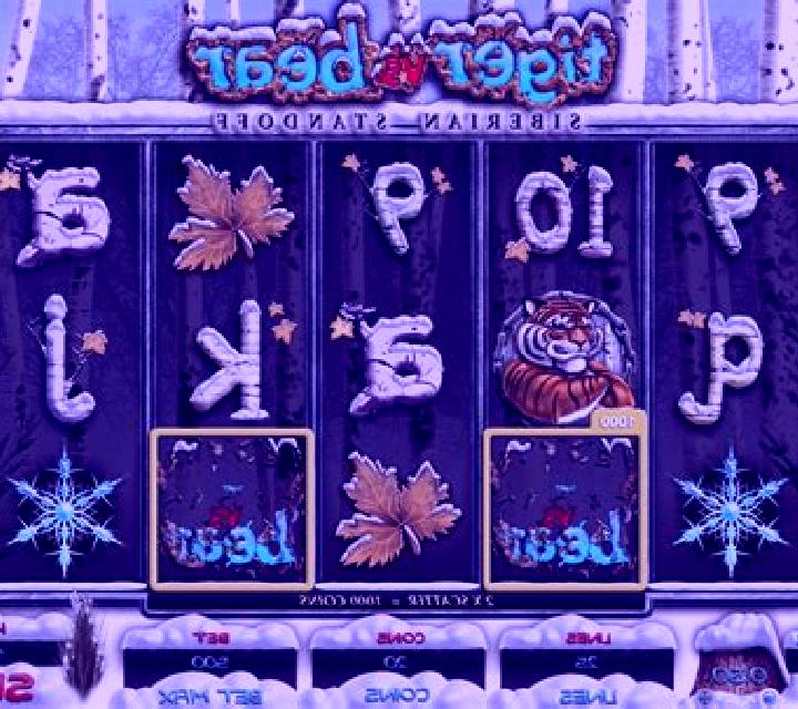 Tiger vs Bear slot machine