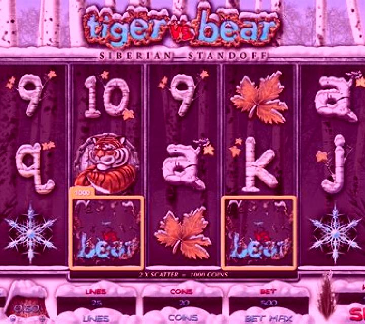 Tiger vs Bear slot