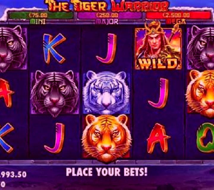 Tiger Warrior slot