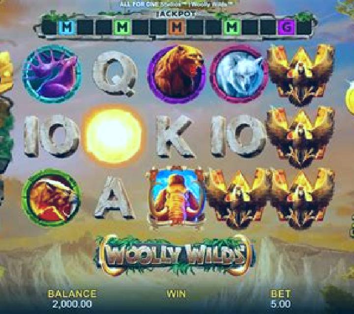 Tiponi s Wilds slot game