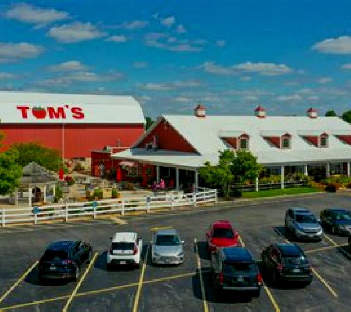 Tom s Farm online slot