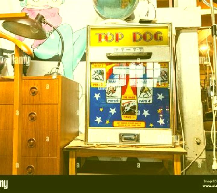 Top Dog slot machine