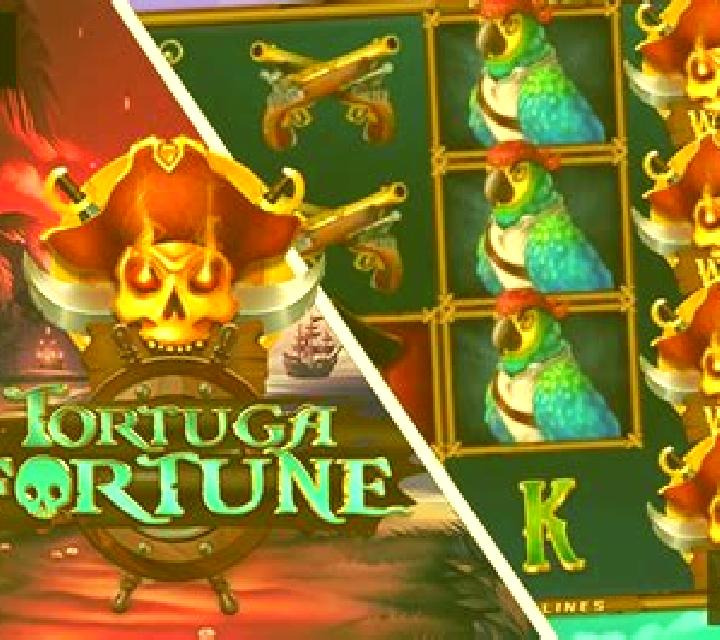 Tortuga Fortune slot
