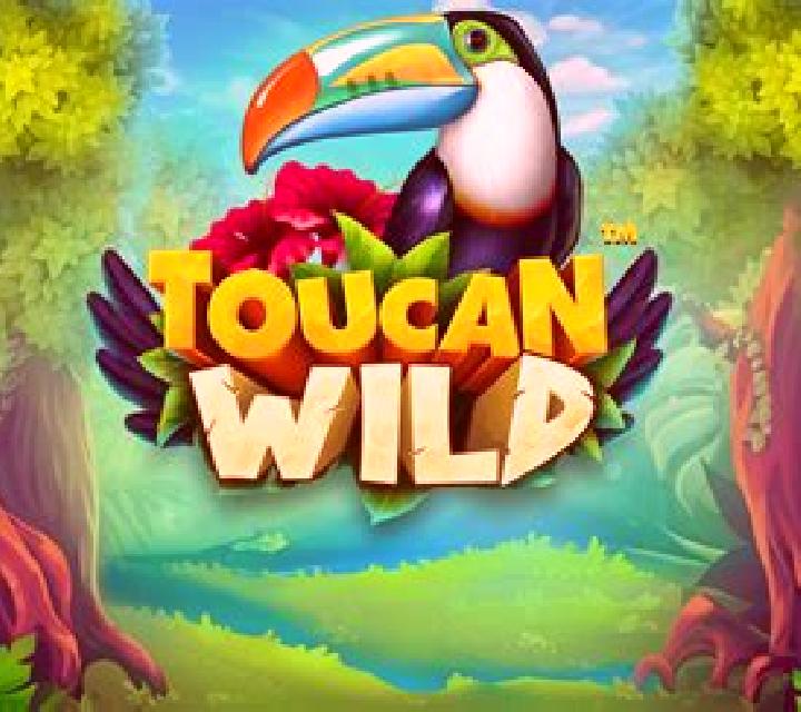 Toucan Battle slot game