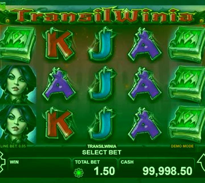 TransilWinia slot