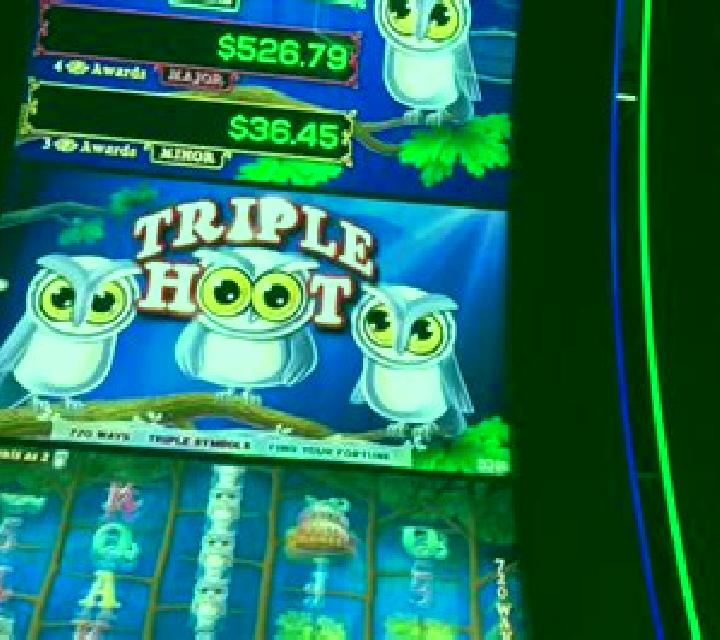 Triple Hoot slot game
