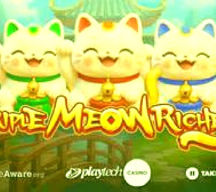 Triple Meow Riches slot game