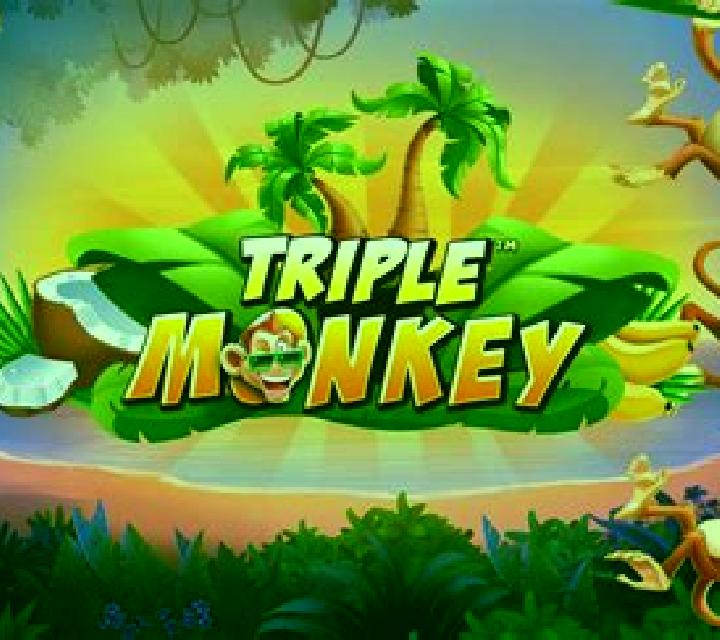Triple Monkey (Dragoon Soft) online slot
