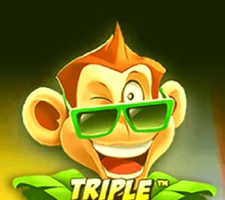 Triple Monkey (High 5 Games) slot game