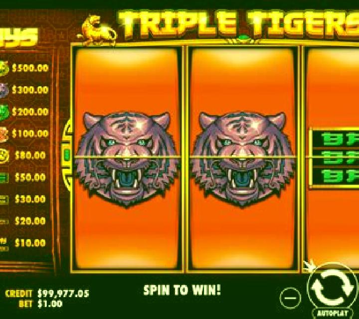 Triple Tigers (Pragmatic Play) online slot