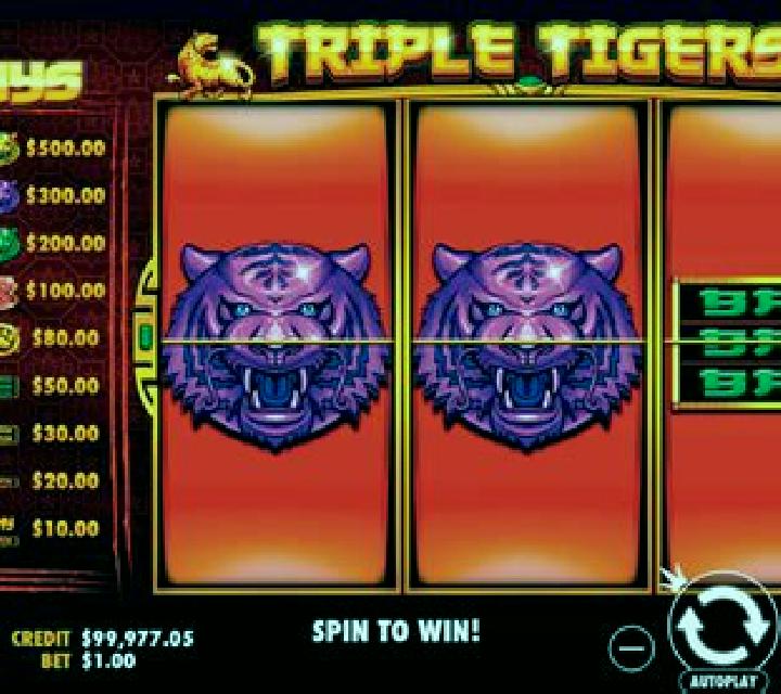 Triple Tigers (Pragmatic Play) slot game