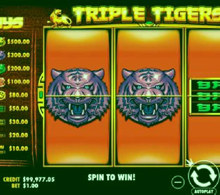 Triple Tigers (Pragmatic Play) slot machine