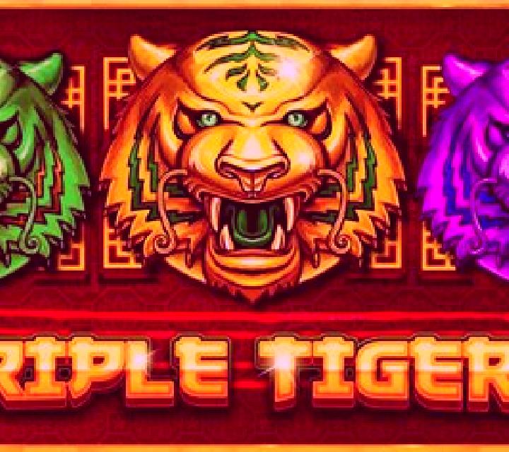 Triple Tigers (Pragmatic Play) slot