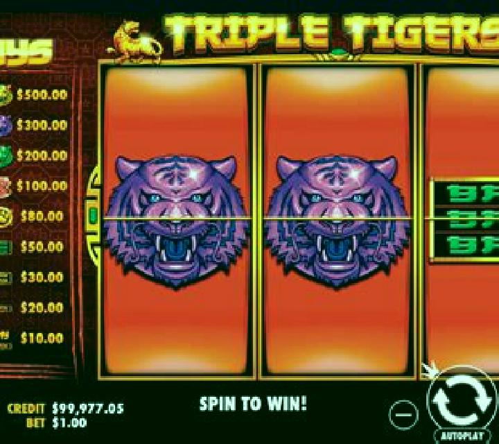 Triple Tigers (RTG) slot machine