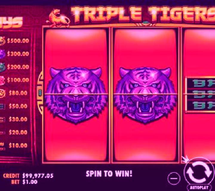 Triple Tigers (RTG) slot