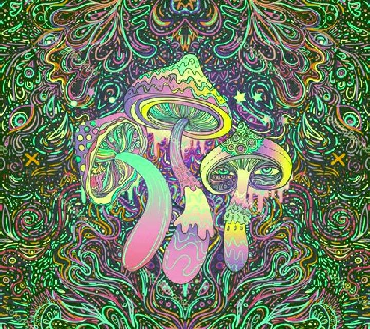 Trippy Mushrooms slot