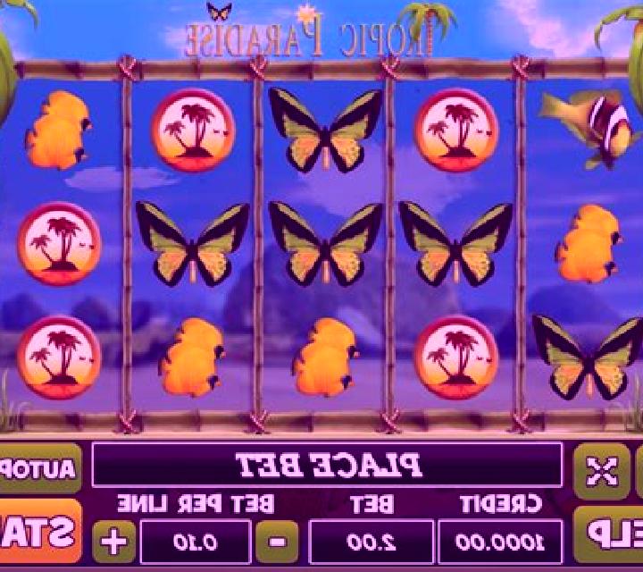 Tropic Paradise slot