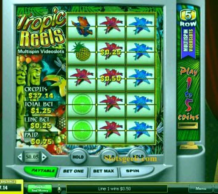 Tropic Reels online slot