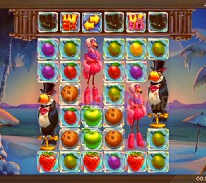 Tropicool slot