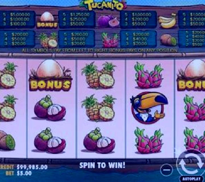 Tucanito slot machine