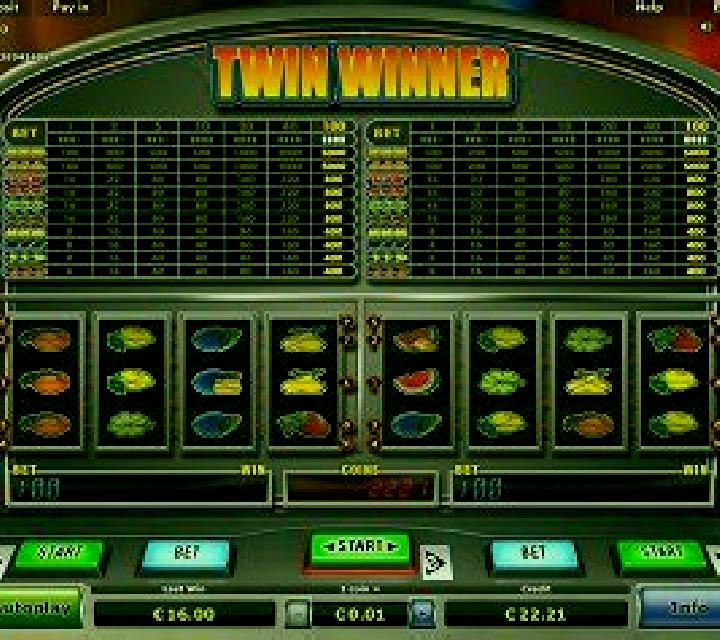 Twin Winner slot