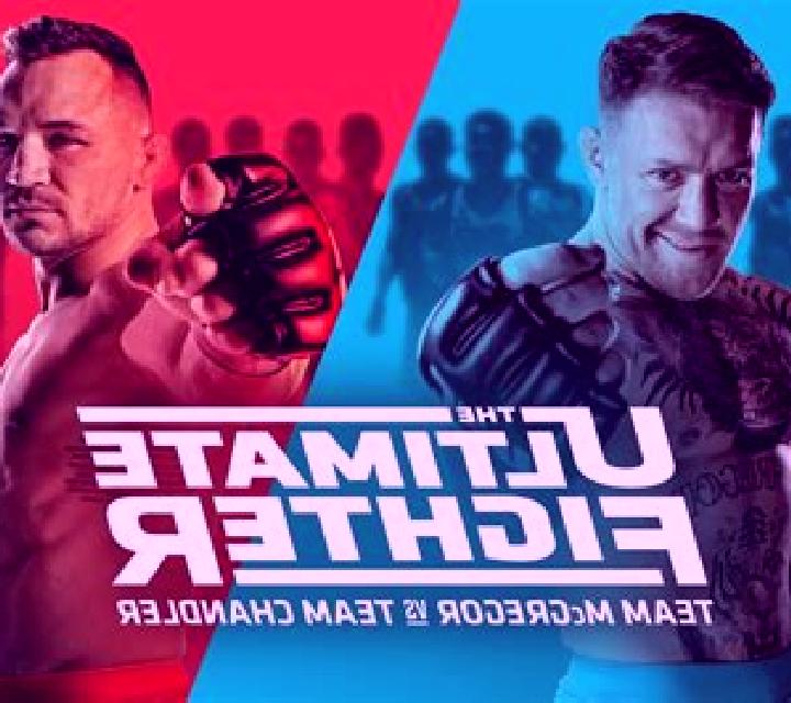 Ultimate Fighter online slot
