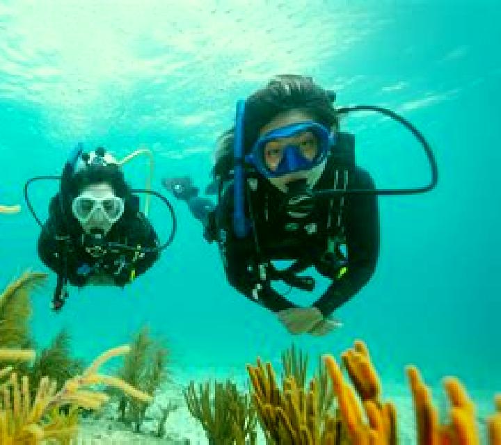 Under Water Diving online slot