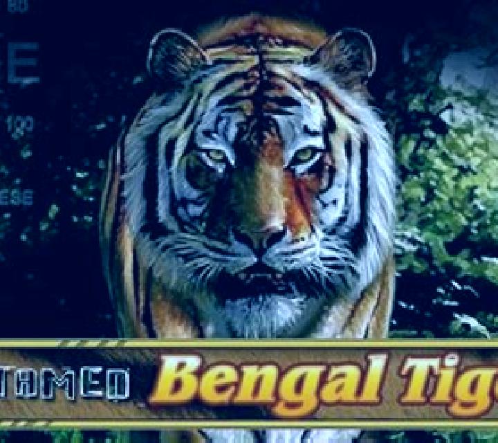 Untamed Bengal Tiger slot game