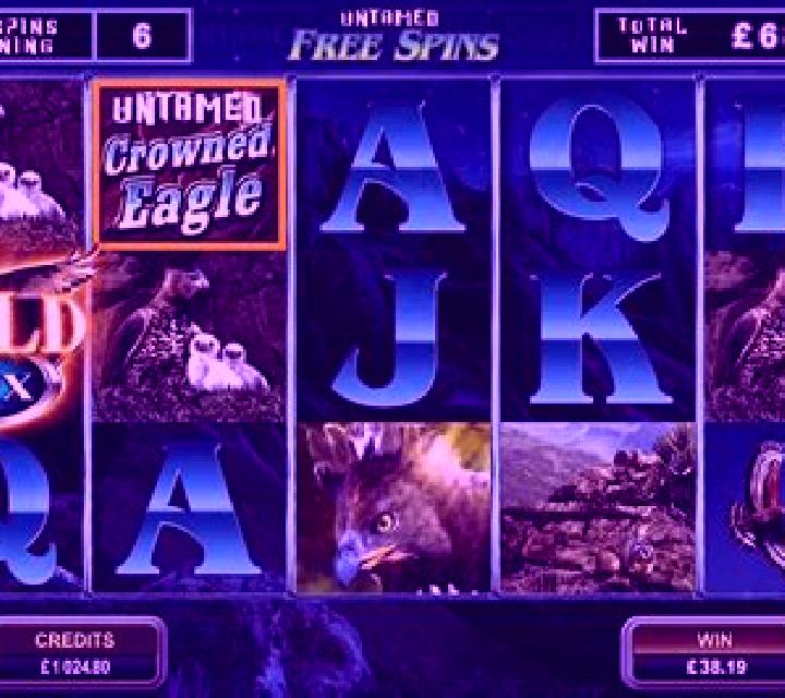 Untamed Crowned Eagle slot
