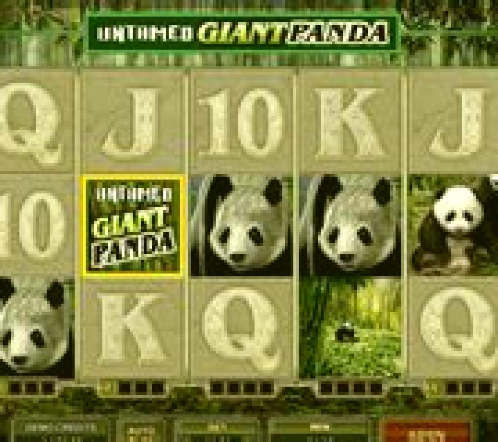 Untamed Giant Panda online slot