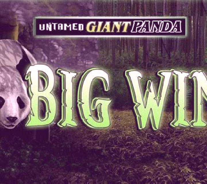 Untamed Giant Panda slot game