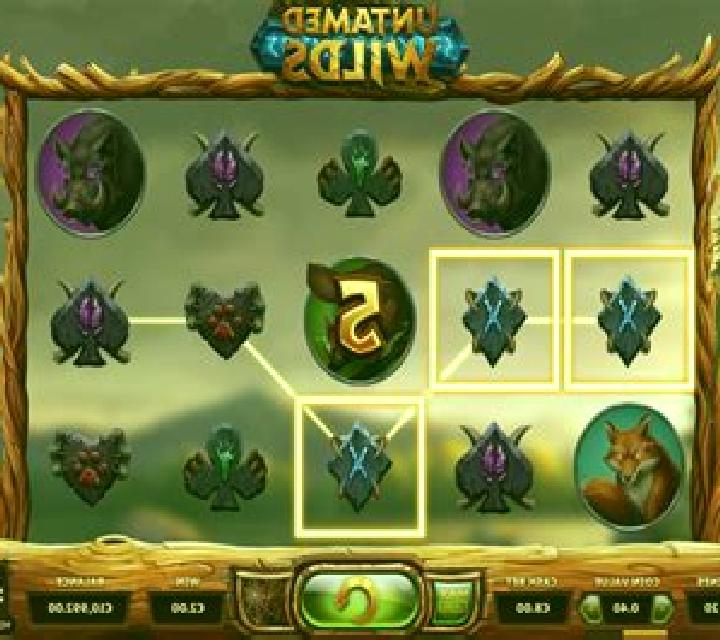 Untamed Wilds slot game