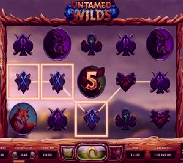 Untamed Wilds slot machine