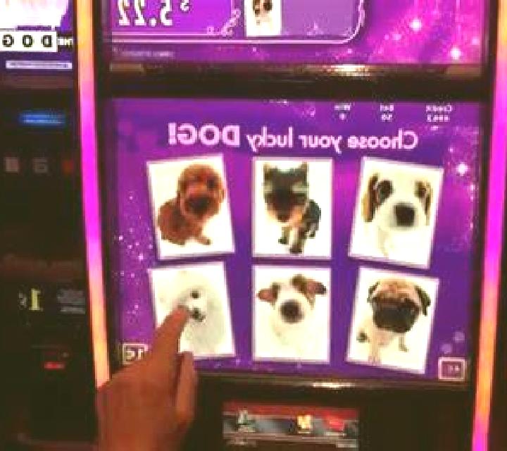 Urban Lady Doggie slot machine