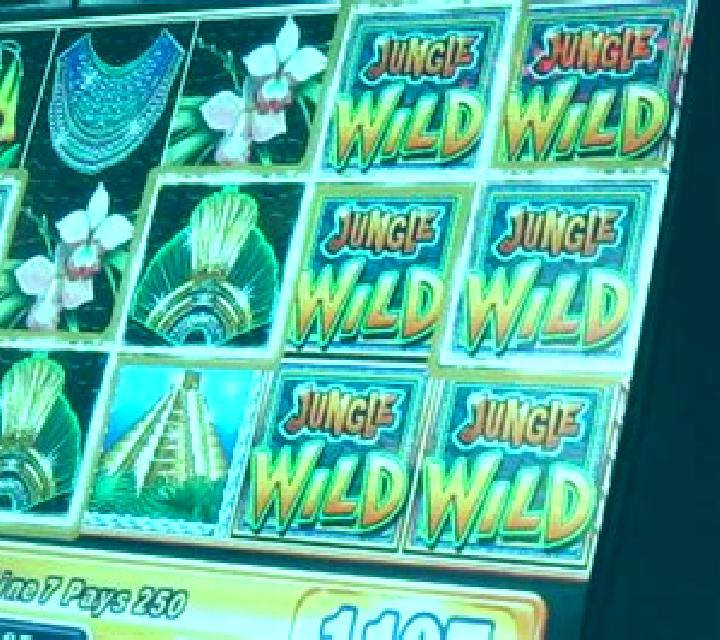 Veracruz Wild slot machine