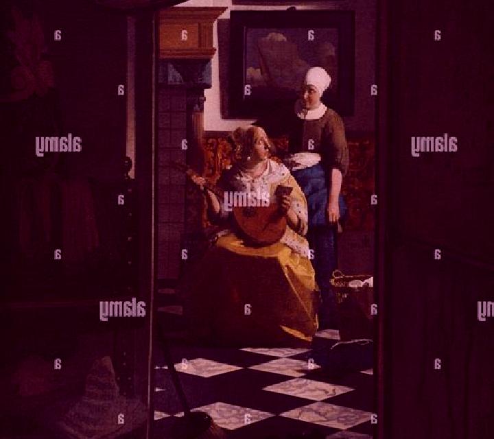 Vermeer slot