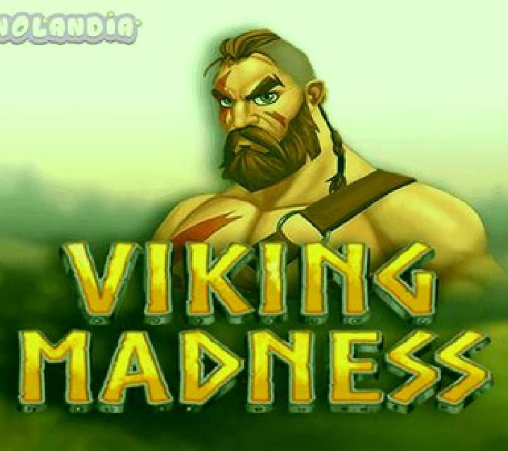 Viking Madness slot game